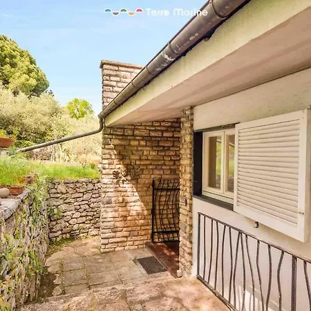 Pietra Di Mare, Terremarine