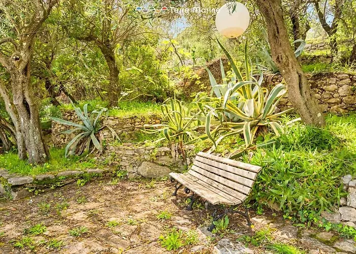 Apartment Pietra Di Mare, Terremarine